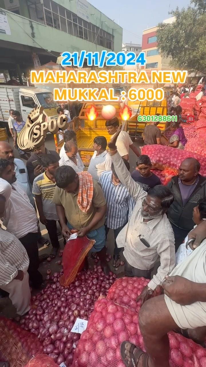 21/11/2024 Live Onion Auction in TS Market