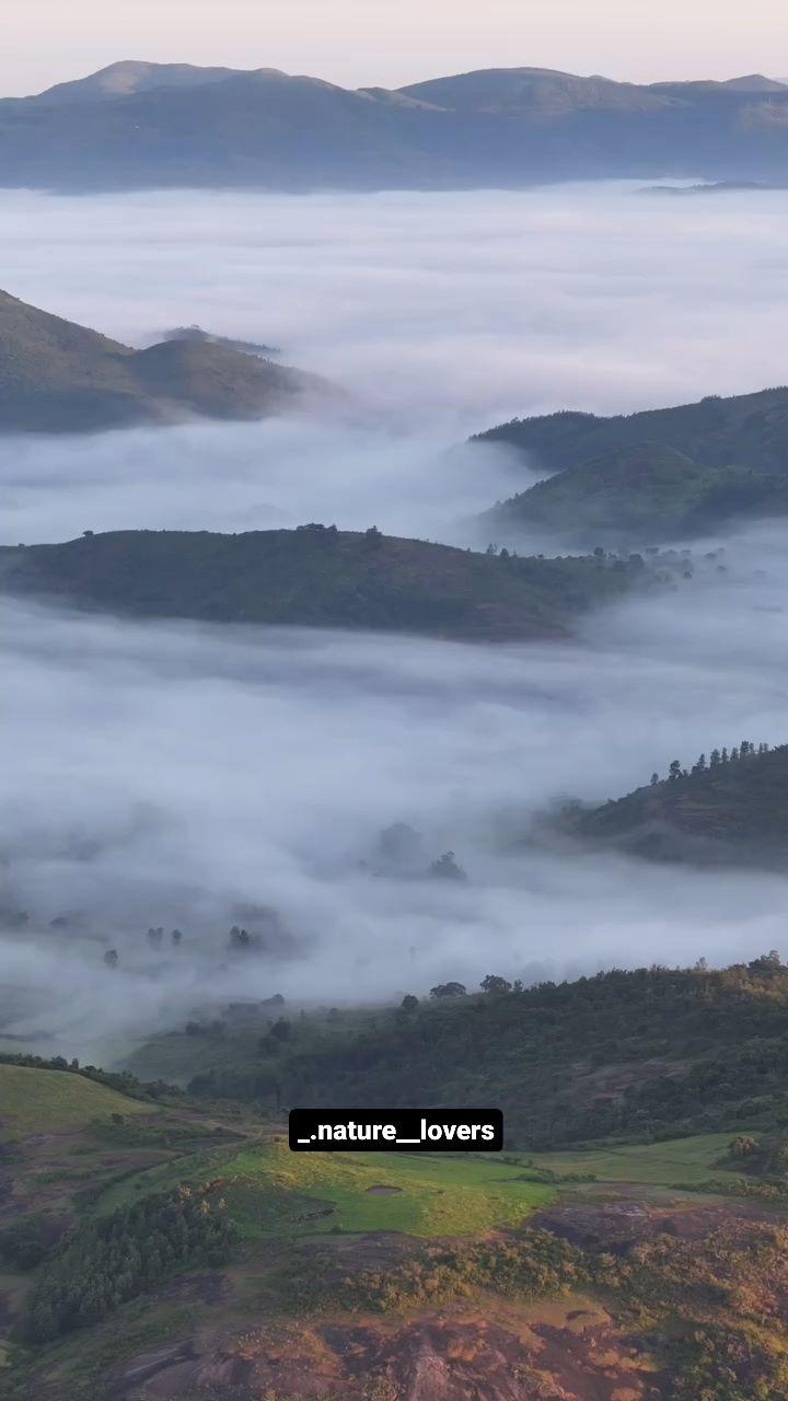 Araku Valley, Andhra Pradesh 💚

Foggy weather started in Araku, share the reel with someone you want to visit Araku 🥰


araku valley , winter fog , foggy weather, araku , araku in winter , winter season, winter travel , vizag, visakhapatnam, vanjangi, andhrapradesh ]