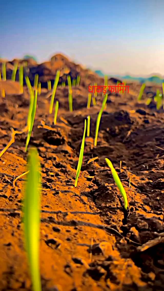 _dhakad_samaj_02 धाकड़ फार्मिंग 🌾🌾