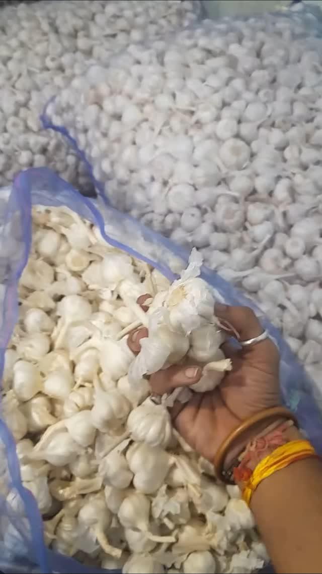 🧄 Clean 🧄 28-34 mm 🧄 Desi 🧄 jaora 🧄 pattern 🧄 cleaning 🧄 garlic 🧄 🧄 🧄

Quality Garlic
Everything Garlic
91 8766059404
WhatsApp/ call

trivedi_akkshath

#desi 🧄#indian 🧄#garlic 🧄#riyawan 🧄