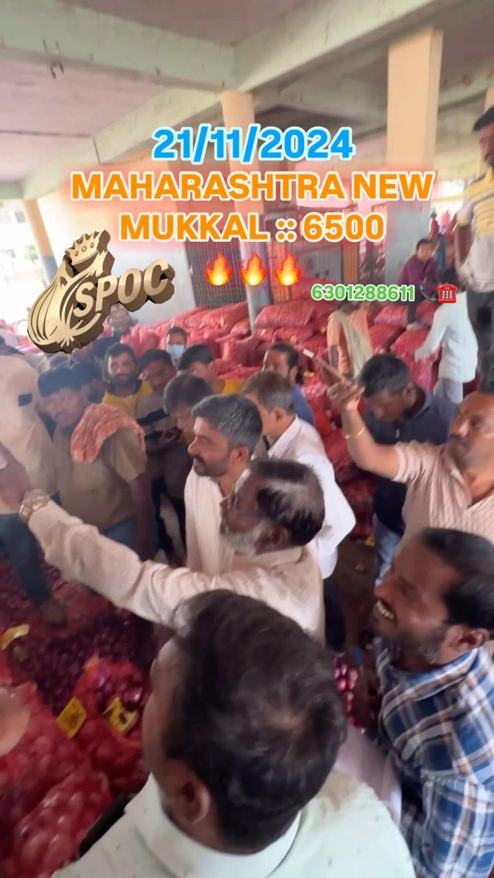 21/11/2024 Live Onion Auction in TS Market