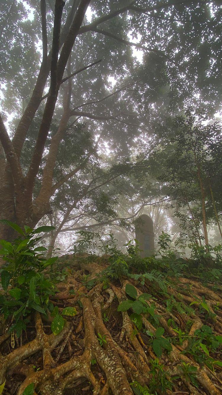 In a world of enchantment…📍Falkawn, Mizoram

Follow ⏩⏩⏩ happytoescape

falkawn #zokhua #aizawl #mizoram #mizoramtourism #mizoraminsta #mizoramvillage

[ falkawn , zokhua, aizawl , mizoram , mizoram tourism ]