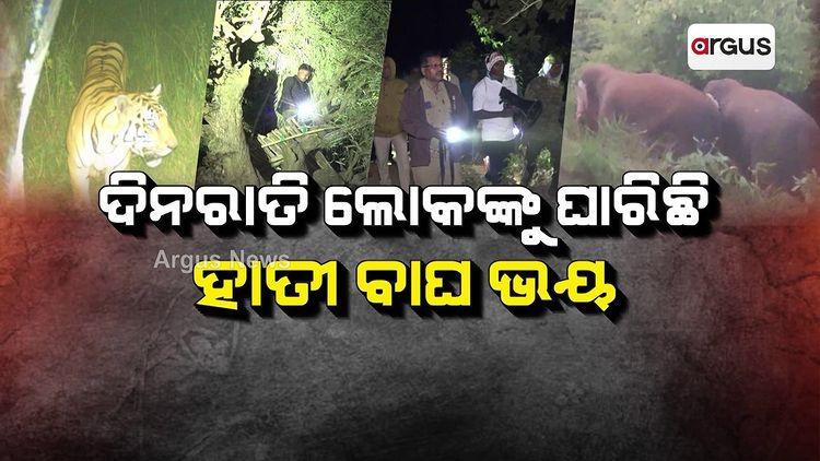 ଦିନରାତି ଲୋକଙ୍କୁ ଘାରିଛି ହାତୀ ବାଘ ଭୟ | Gajapati Elephant Tiger Fear

Follow argusnewsin for more info