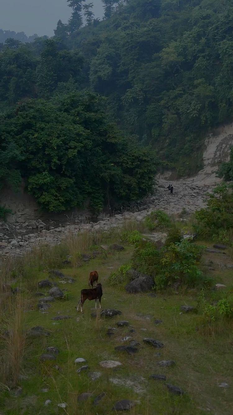 “Escape to the mesmerizing beauty of the newly discovered jhil near the India-Nepal border! 🌿✨ Just a short 1.5-hour journey from Sitamarhi, this serene paradise is a hidden gem waiting to be explored
Whether you’re a nature enthusiast, a travel lover, or someone seeking a peaceful retreat, this tranquil spot promises breathtaking views and unforgettable moments
The calm waters reflect the sky’s beauty, while the lush surroundings make it the perfect place for photography, picnics, or simply soaking in the peace away from city chaos
Tag your travel buddies, pack your bags, and get ready to embark on an adventure to this unexplored wonder of Nepal
Trust us, this scenic destination will leave you awe-struck and longing for more
Don’t miss out—discover the magic of nature at its best! 💙🇳🇵🇮🇳”