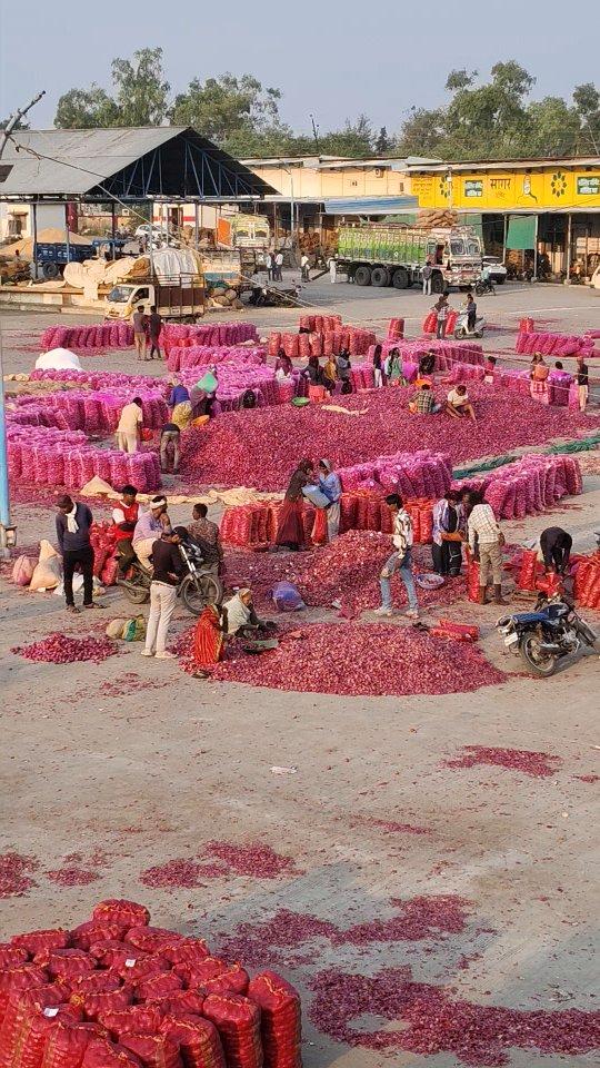 रतलाम मंडी भाव🧑‍🌾🌾🧄

Ratlam #Mandsaur #Reels #agriculture #ujjain #indore #mandi #mp #wheat #soya #garlic princeagro.in