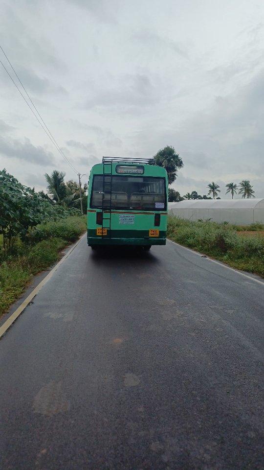 காத்தே! பூங்காத்தே! 😍