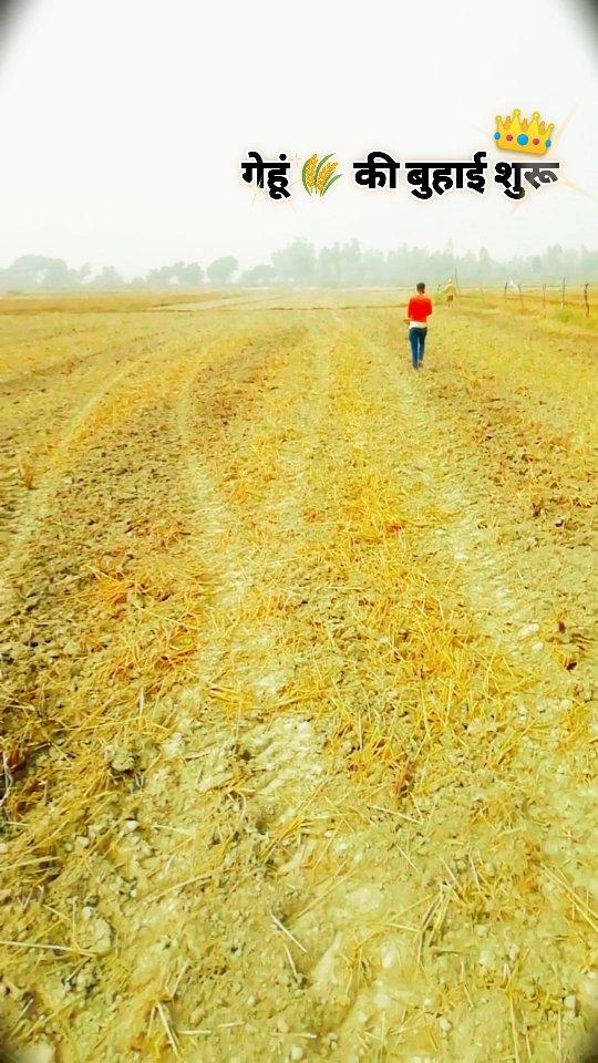 गेहूं 🌾 की बुआई शुरू👳

khetibadi #farming #khetibadi #gavn#desi #harvest #newpost#newmusic #nature#landwirtschaft#harvest #landwirtschaft #agriculture #kisan #farm#agriculturelife #fyp #agro #photography#gardening #farming #harvest #newpost#newmusic #nature #landwirtschaft#harvest #agriculture #reelsinstagram #kisan #trendingreels #farmerprotest#farmerlife #uttarpradesh #Pratapgarh #desilook mishraji_farmer_1