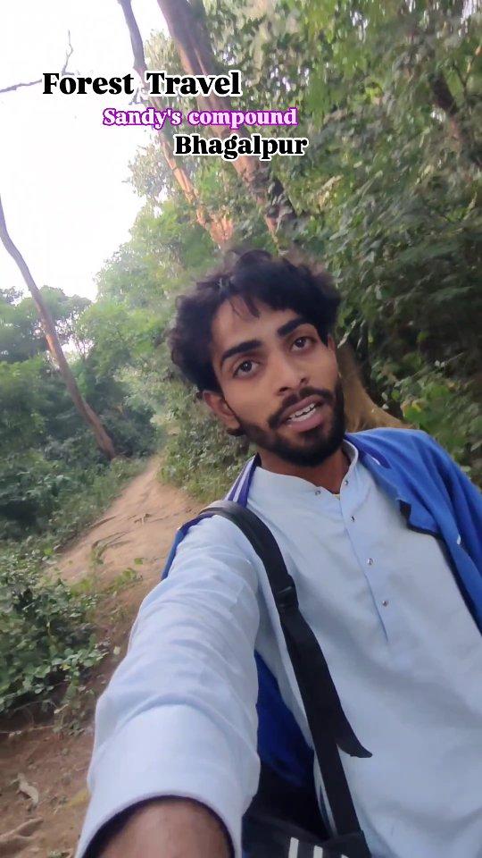 Forest Travel 
Sandy's compound 
Bhagalpur