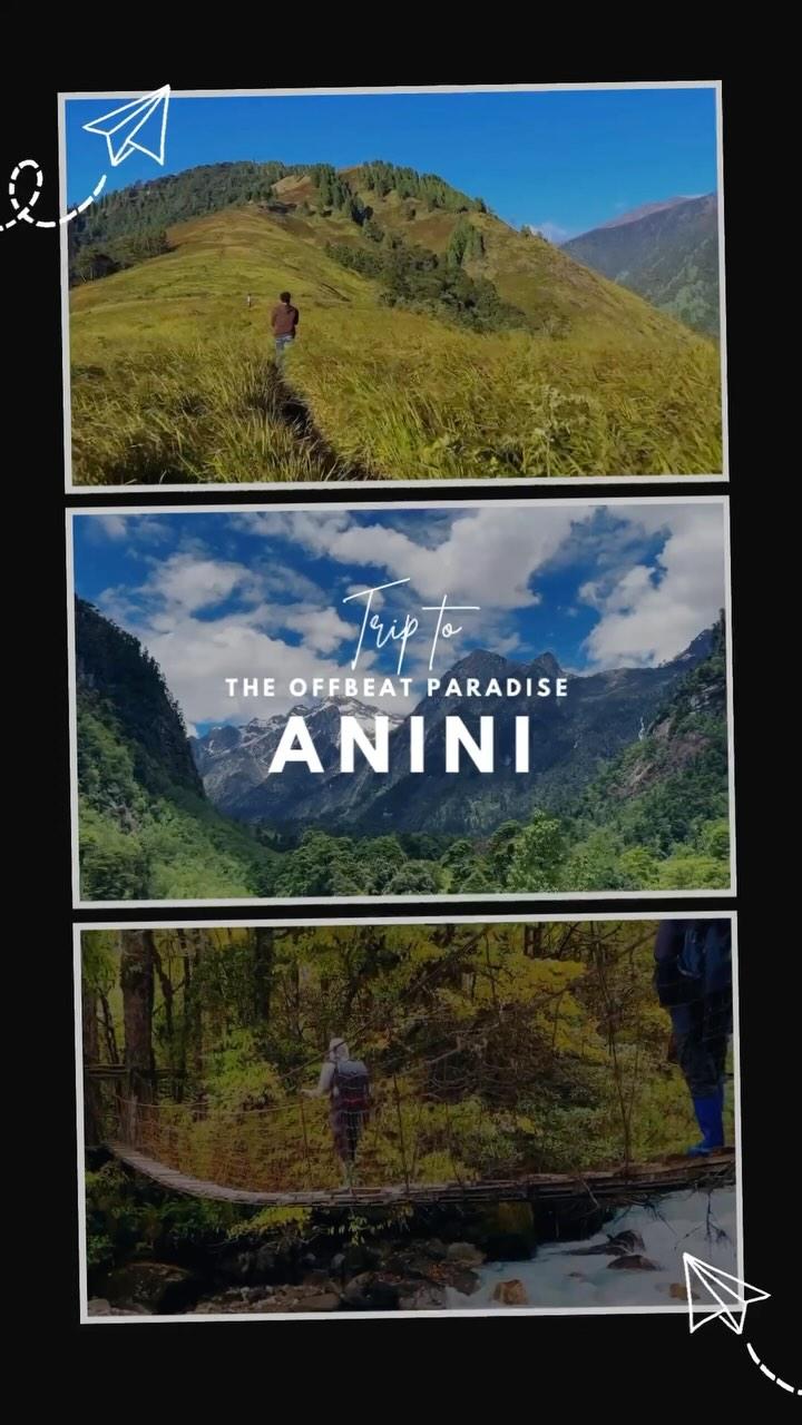 Immerse yourself in the pristine beauty of Anini, featuring the majestic Pomo Grassland 🍁

Experience pristine landscapes, tribal culture, and the serene charm of Northeast India like never before!🏞️

Anini, Dibang Valley 
Arunachal Pradesh 

DM to book your adventure with us now wander_beyondhorizons 🙌

For more details 📝
📞8812076312
WhatsApp 👉 9365912471

Packages available ~ 
🚌 Ex - Dibrugarh 
 * 4Days | 3Nights 
 * ⁠5Days | 4Nights
 * ⁠6Days | 5Nights
*Customize trips also available✅