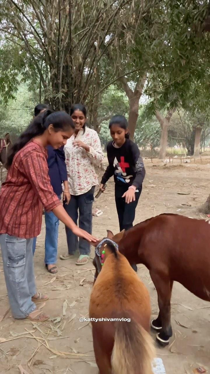 हरिहर छेत्र सोनपुर मेला 2024 || 1 करोड़ का घोड़ा 🐎 | sonpur | 

Follow for more: katty_shivam_vlog