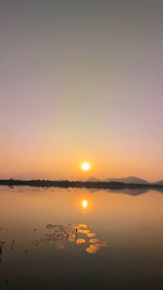 🌄


teampixel #googlepixel #underwater #naturelovers #naturelover #nature #evening #sunset #shotonpixel #shotonphone #explore #explorepage #bongaigaon googlepixel