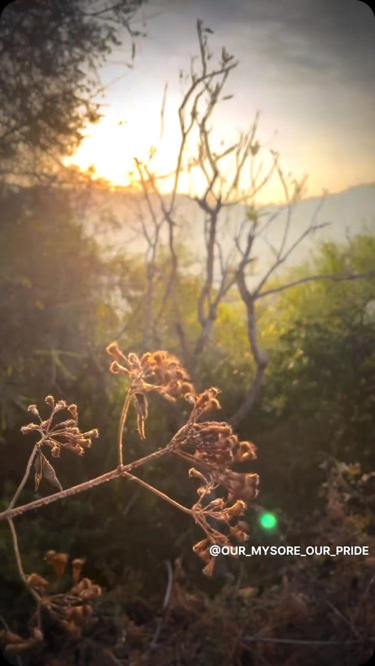 🌸ಶ್ರೀ ಕ್ಷೇತ್ರ ಮಹದೇಶ್ವರ ಬೆಟ್ಟ 
ಹನೂರು ತಾಲ್ಲೂಕು 
ಚಾಮರಾಜನಗರ ಜಿಲ್ಲೆ 🌸