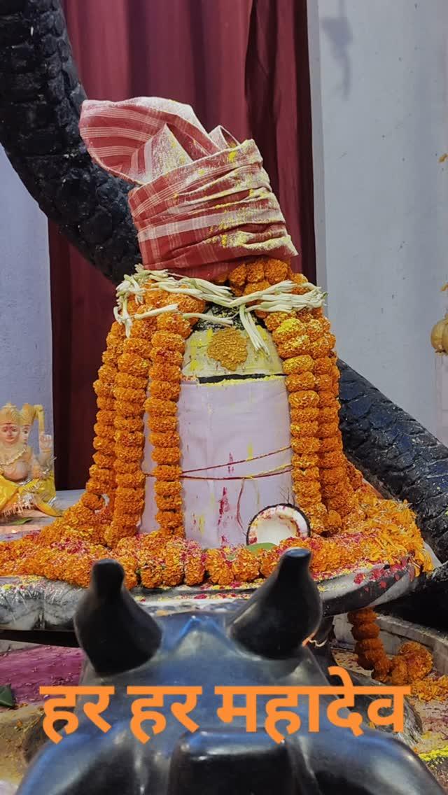 #हरहरमहादेव #बोलबम #basukinath #instagram #hindu #mahadev #purnea #patna #khagaria #bihar #