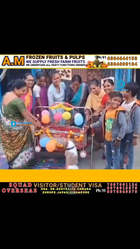 Dog Lover Family Hosts Cradle Ceremony for Newborn Shih Tzu Puppies in Telangana

A #DogLover family celebrated the #CradleCeremony of Newborn #Puppies of their #ShihTzu breed pet dog in #Telangana
Vinod and Lavanya couple, a resident of Subhash Nagar in Metpally town of #Jagtial district, were brought to a Shih Tzu breed pet #Dog last year
Recently the dog gave birth to four puppies, the dog lover family celebrated their Cradle Ceremony and were invited to their relatives and neighbours