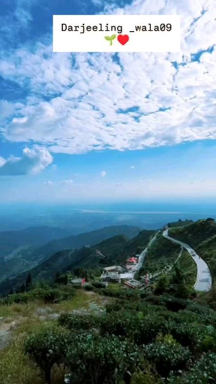 Darjeeling Queen of Hills 🌱♥️