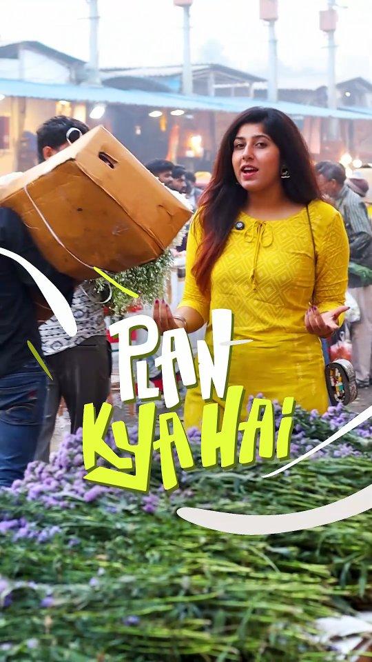 Here's another episode of 'Plan Kya Hai' and this time we covered the biggest flower market of Delhi🌷🌸🌹🌺🌻🌼

Marigolda, Lilies, Roses, Orchids, Gerberas, Irises
think of any flower variety and color and you'll be able to find it at this market- that too at super affordable prices🙌🤌

Did you know about this phool mandi?

📍Ghazipur Flower Market | 🕐 Opens at 2 AM
🚇 Nearest Metro Station: Anand Vihar ISBT