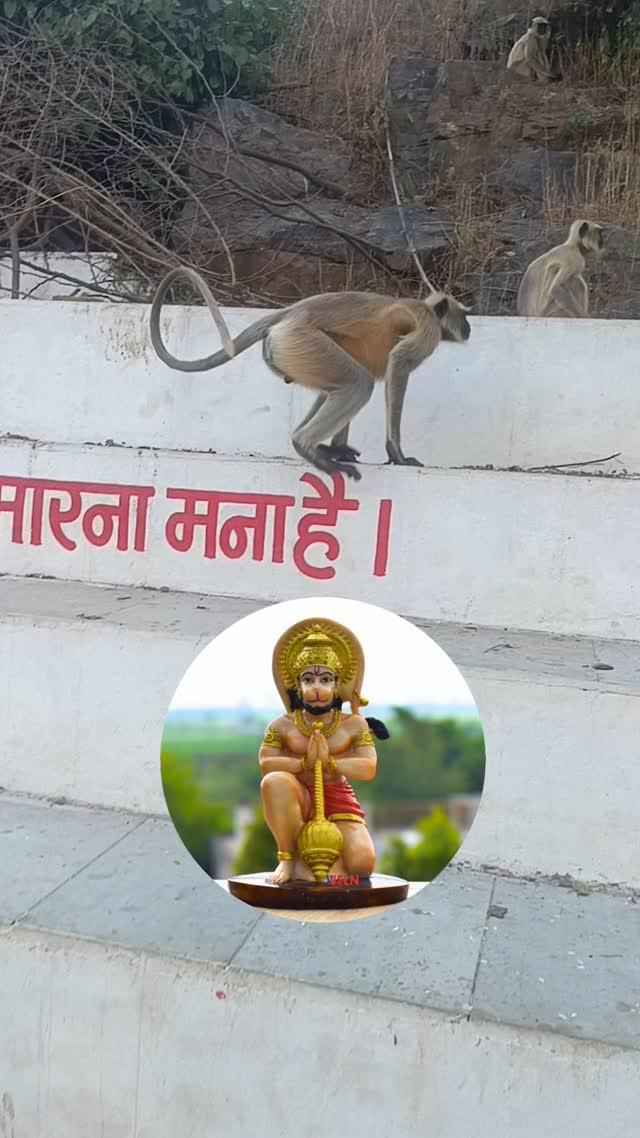 Jai Bharang Bali 🚩🌹🎇 

khadkava_mataji_vlog