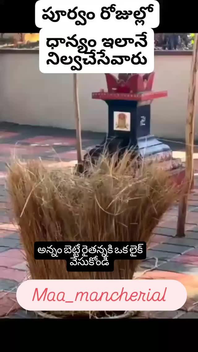 ధాన్యం నిల్వ