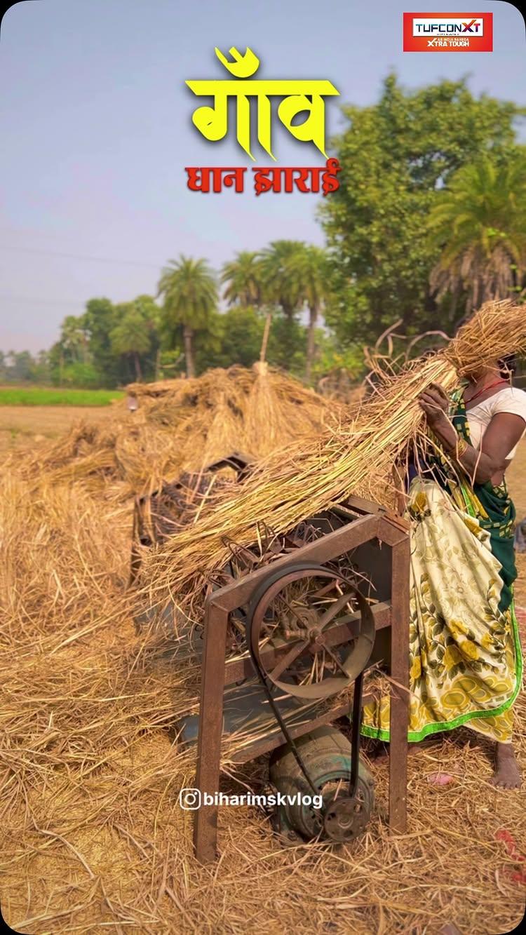 गाँव, धान 🌾 झाराई