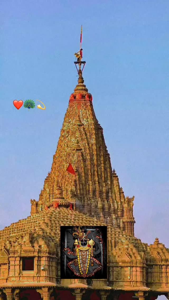 Jay DwarkaDhish 👀🫶🏻❤️
FOLLOW IF YOU WANT LIKE IF YOU LIKE SHARE FOR
FRIENDS
વૃંદાવનમાં ઝીણી ઝીણી મોરલી સંભળાય છે એ નાનકડો કાનુડો હવે દ્વારકાનો નાથ કેવાય છે
॥ ॐ नमो भगवते वासुदेवाय ॥
દુનિયાનો છેડો મારો દ્વારકાધીશ
આખા જગતનો બાપ દ્વારકાધીશ
#jaydwarkadhish #dwarkadhishtemple #dwarkadhish #dwarka#jaythakar #trendingreels #trending dwarak