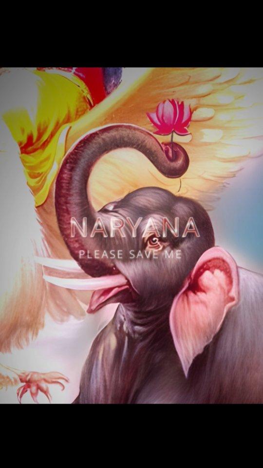 Narayana 💟

•

•

•

•

•