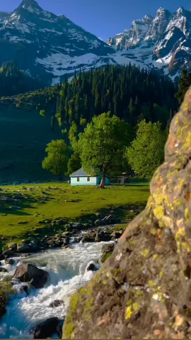 Summer vibes in kashmir ❄️🥶👀🏔️⛄