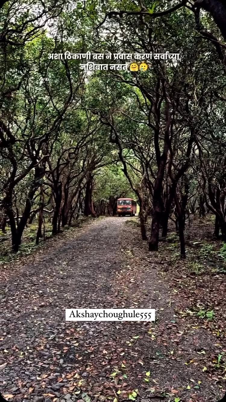 #kokanat|_aapal_ghar #kokan #maharashtra #explore #kankavli #kokanacha_nisarga #naturephotography #sindhudurg #kokandiaries #trending #india #instatravel #marathisong #music #instagramgrowth #growth #ratnagiri #viral #reelkarofeelkaro #reelitfeelit #reels #malvandiaries #mumbai #malvan #naturelovers #kokankanya #kokan_maza_gav

DON’T FORGET TO LIKE AND SHARE ❤️