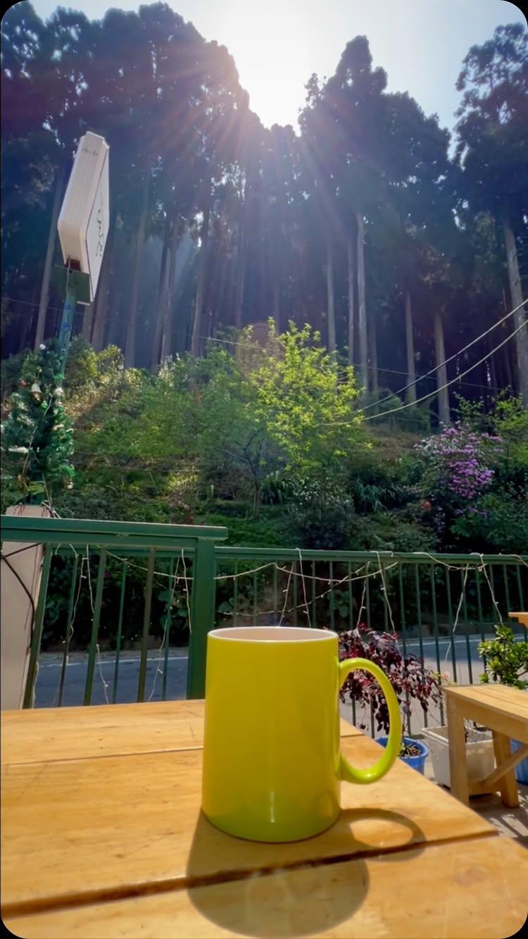 Takdah  morning 🫶🏼🌻🍃❤️
*
*
*
*
*
#darjeeling #lamahatta #kurseong #mirik #sonada #kalimpong #siliguri #jalpaiguri #northbengal #tea #reels #reelsinstagram #reelsindia #reelitfeelit #explore #explorepage #nature #travel #trip #morning ng