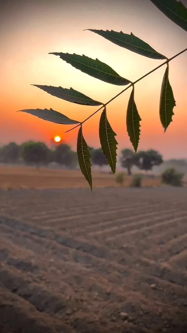 🦋🫶🫶❣️❣️❣️
#jhumritelaiya #koderma #naturelovers #oldsongsbestmemories #rellsinstagram💕 🥰