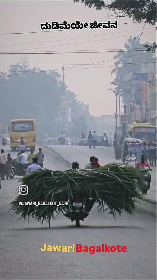 ಜೀವನ ಅಂದರೆ ಮತ್ತೇನಲ್ಲ ದುಡಿಮೆ
soorilines #ಸೂರಿಲೈನ್ಸ #bagalkot
#bagalkot #bagalkote #jawari 
jawari_bagalkot_ka29