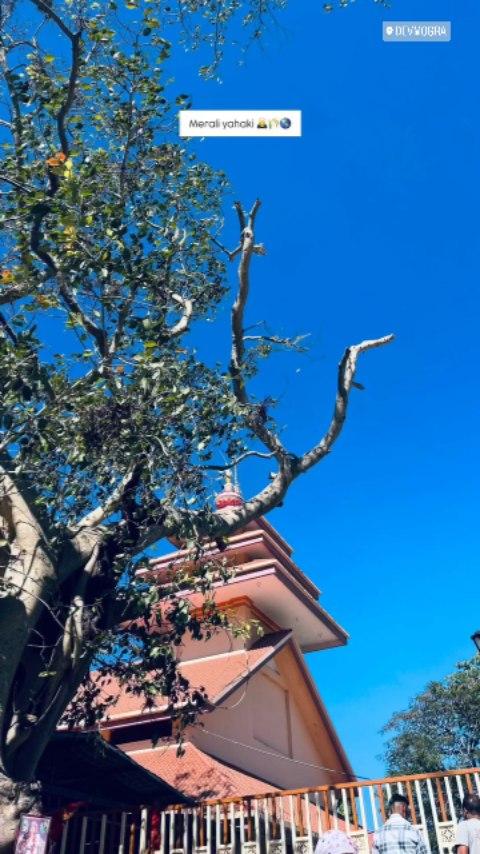 Devmogra Tample 🌿❤️🌍🙏🏼vsv_model_poyri

Adivasi Kuldevi 🥰👏🏼

devmogra_ma_temple #meraliyaha #kuldevi_maa #aadivasiculture #reelkarofeelkaro #reelsfeed #instagram #explore #narmada #villagelife #adivasisong #reelitfeelit #foryou #aadiwasi #ph#instadaily #trendingreels #reelsinstagram #devmogra_maa❤️❤️❤️ #sukoon❤️🌍 #matarani #maa❤️ #instalike 

Jay adivasi Jay johar 🙏🏼🏹