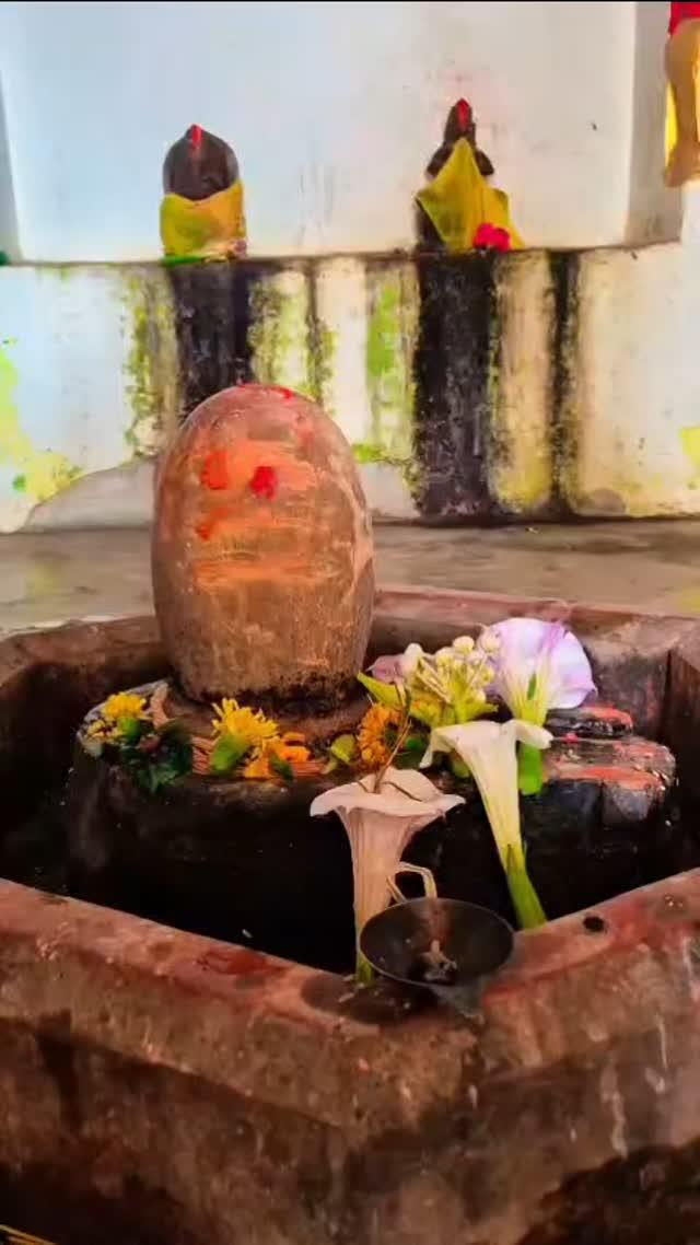 🙏Har Har Mahadev🙏
#her #her #mahadev #harharmahadev #shiv #guru #dobhi #gaya #patna #sobh #barachatti #bodhgaya 
surya_mukesh_ambey_3445 
kashyap_kajal_06 
rakesh_weds_kajal 
kash.yapstarboy 
krishav_music_world