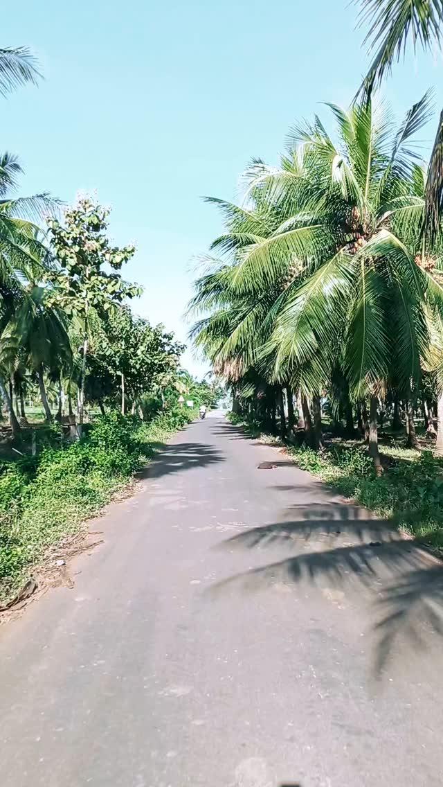 🌴అప్పన రాముని లంక
కోనసీమ 🌴🌴