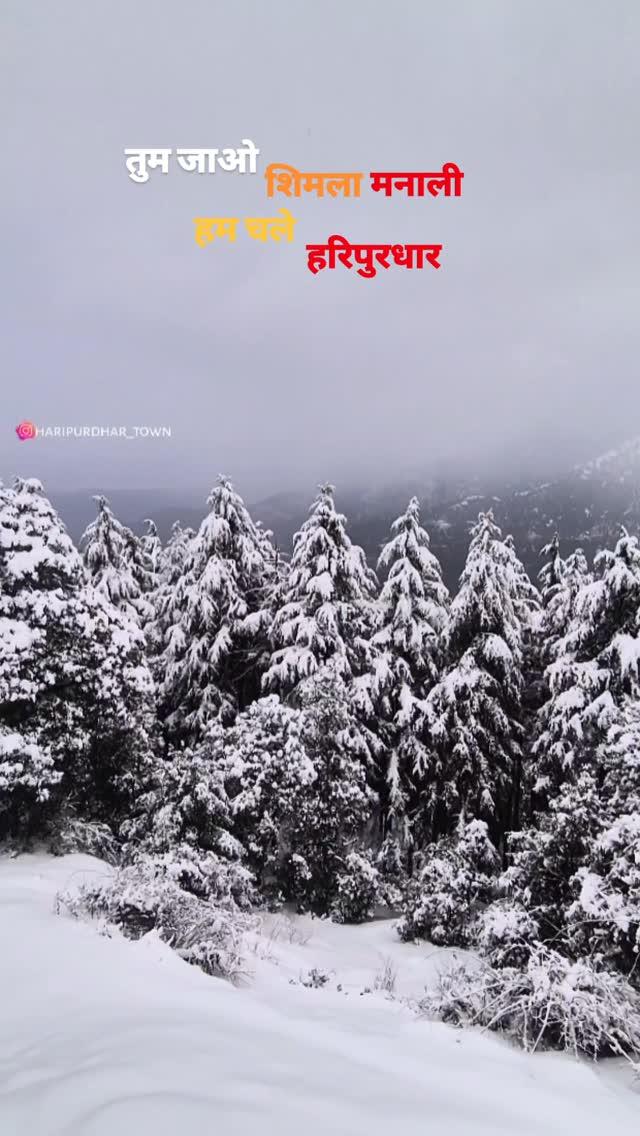 Some beautiful moments captured during snowfall