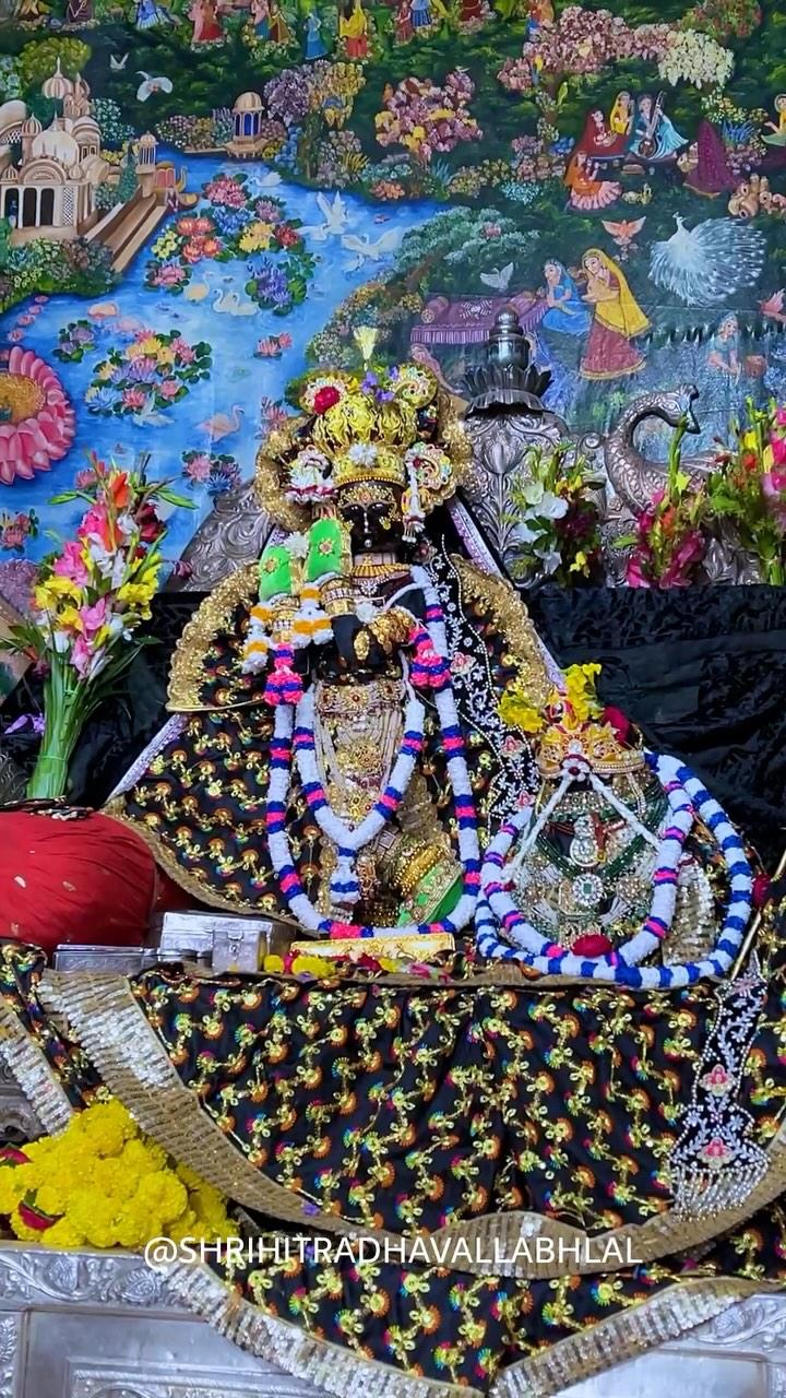 ! ! श्री जी 🥹🦚! ! 

shrihitradhavallabhlal