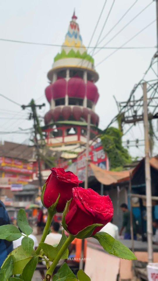 Hajipur:- शहर की सुबह और ताजगी 💗

Location:- Hajipur 
  Follow:- frames.ashu 
 Video Cr :- anuragxwho