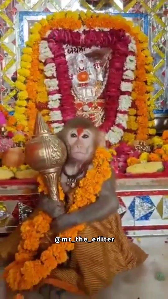 Jai Shree Ram Jai Hanuman ✊🏻🧡🧘🏻‍♂️