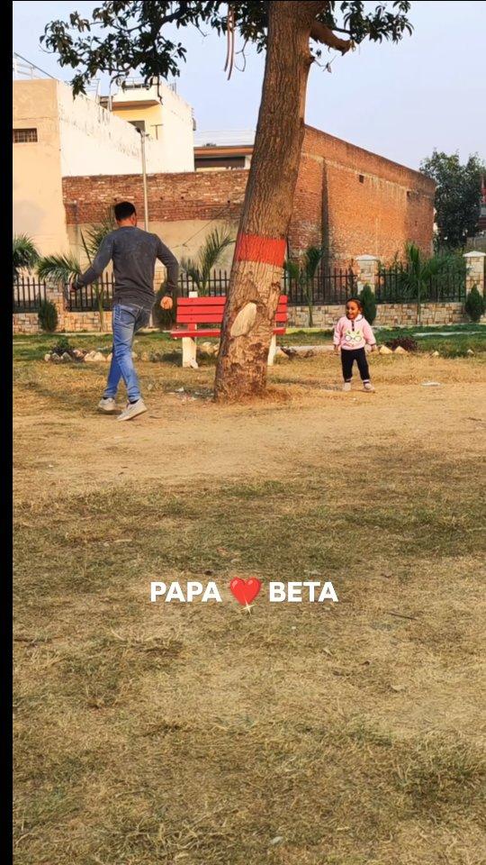 Papa beta love