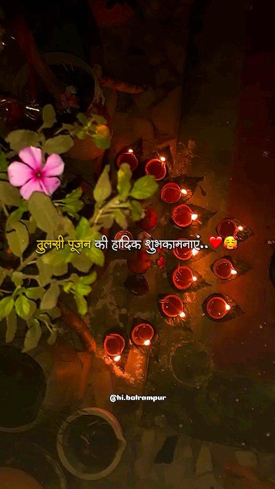 Christmas ❎ Tulsi Pujan Diwas ✅

Follow hi.balrampur for more ❤️

Devipatan #DevipatanMandir #HanumanMandir #Hanumanji #Tulsipur #Balrampur #Utraulla #Pachperwa #Gainsari #Viral #Trending #Explore #Reels #Reelitfeelit #ExplorePage #Meme #Gonda #Bahraich #Shravasti #explorepage #tulsipujan #kalash #trendingreels #tulsi #reelsinstagram #reelitfeelit #newreel #christmas #tulsipujandiwas hi.balrampur