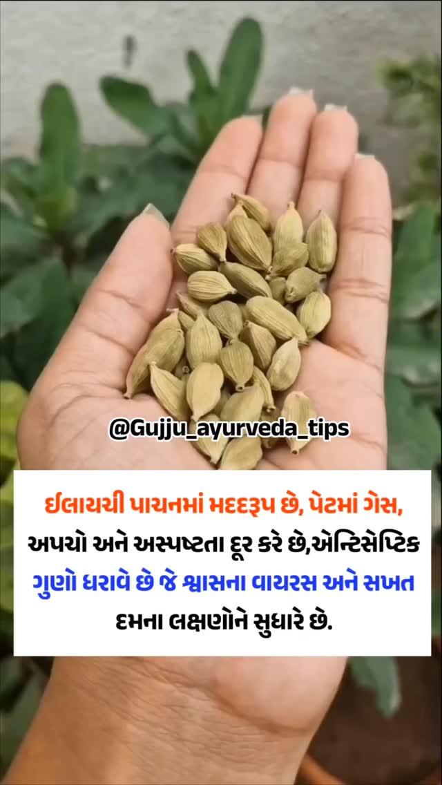 Gujju_ayurveda_tips પોસ્ટ ગમે તો શેર કરજો😍🙏

Like❤Comment💬Share✅
___________________________