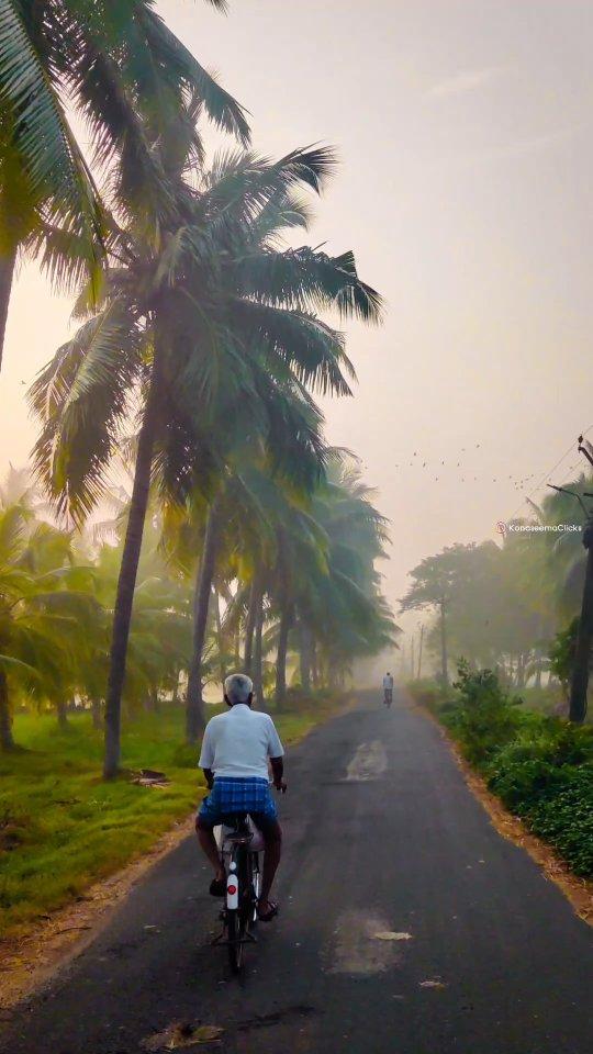 కోనసీమ🌴రెల్లుగడ్డ గ్రామం😍
✓