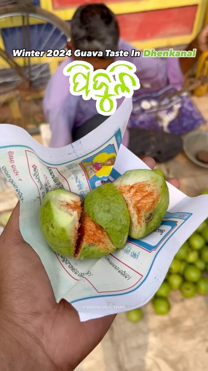 Winter 2024 Guava Taste In Dhenkanal 😋
While roaming around the Dhenkanal city yesterday, we came across a guava trader sitting near the Dhenkanal Town Police Station
And we tasted natural guava in this winter
The uncle who sells guava cuts the guava and prepares it with red chilli and salt
One kilo of guava is available there for Rs
100/-
Guavas are harvested throughout the year (except during May and June) in one or the other region of the country
However, peak harvesting periods in north India are August for rainy season crop, November- December for winter season crop and March-April for spring season crop
Location 📍: Near Dhenkanal Town Police Station, Dhenkanal, Odisha
Shot By : niharprasadmohapatra 
Editor : alok_prasad_mohapatra