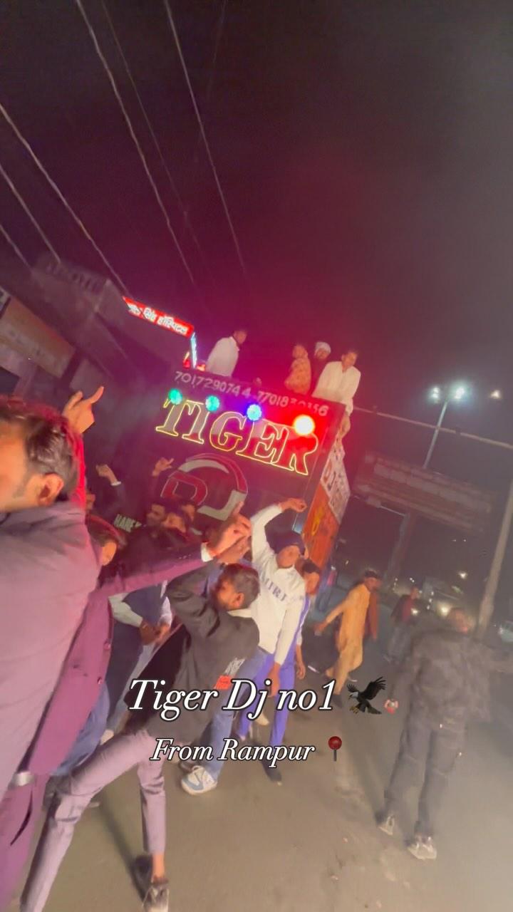 Tiger Dj no1 🦅