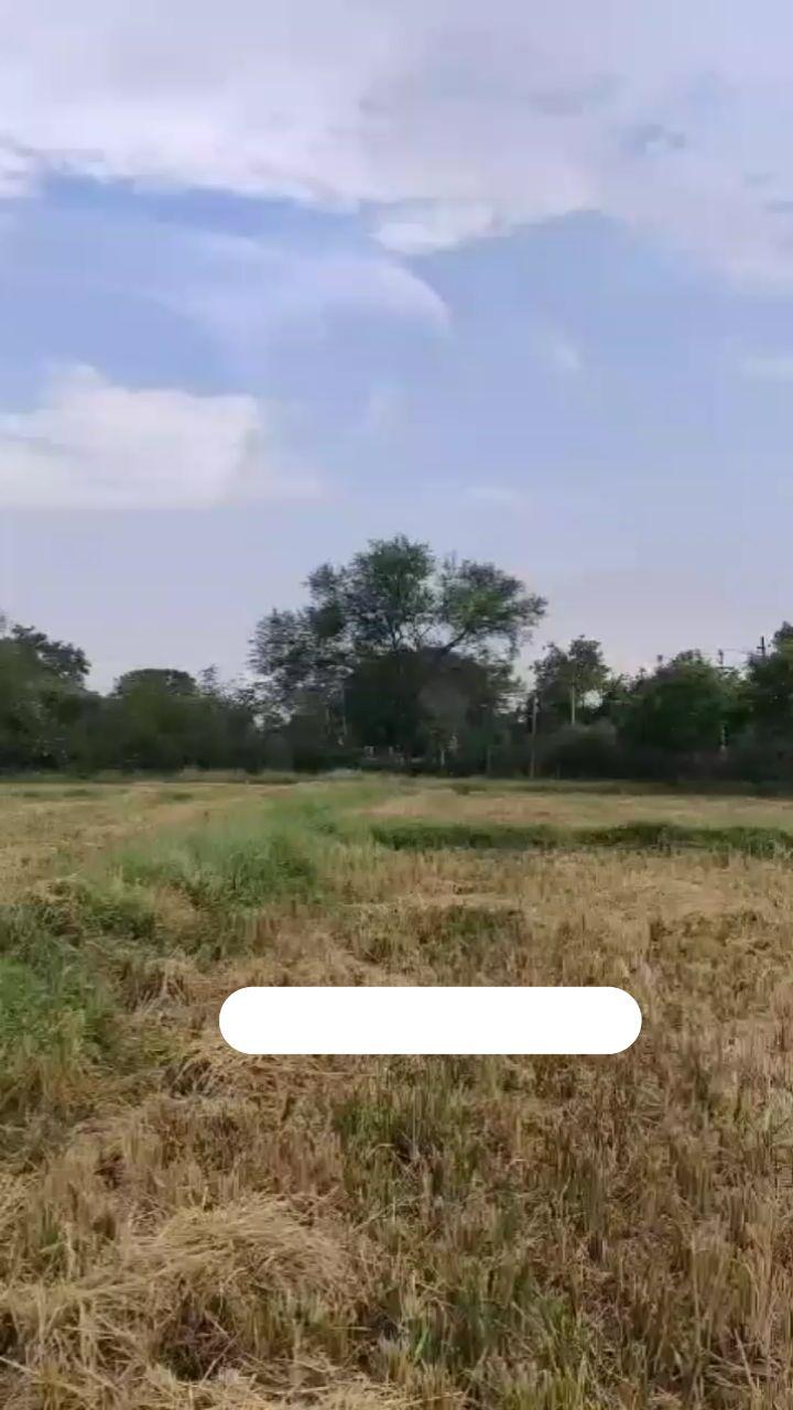 Project Details
8 Acres Agriculture Land for sale
Per Acer 80 Lakhs Negotiable 
3 Acres Mango Thota 
5 Acres Vari polam 
Land Front Road CC Road 
1.5 Km from B.T Road 
From Pargi-Kodangal highway 3km to land
2km from MRO office sub-register office main road center
From Appa junction 65km,Clear Title
Owner Number 96669 85474
Dm odp Properties for promotion in Instagram