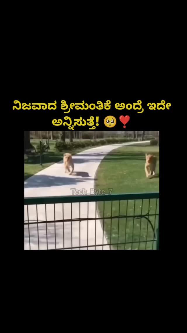 ತುಂಬಾ ಪುಣ್ಯ ಮಾಡಿರಬೇಕು ಅಲ್ವಾ?
Follow for more updates tech_byte_7 ❤️