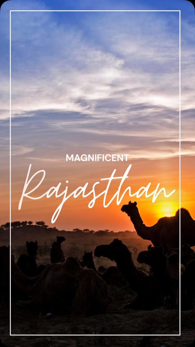 Travel Rajasthan with us!!