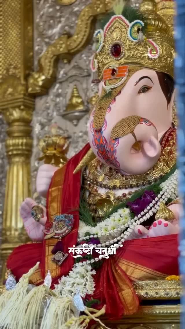 संकष्टी चतुर्थी 🌺🙏

उद्या दि.१८.१२.२०२४

Follow pune_shehar__

#Bappapune
#GanpatiBappaMorya
#GanpatiBappa
Morya_
#Ganpati_Bappa_Morya
#GanpatiBappa
#Ganpati
#GanapatiBappa
#BappaMorya 
#Ganesh
Chaturthi