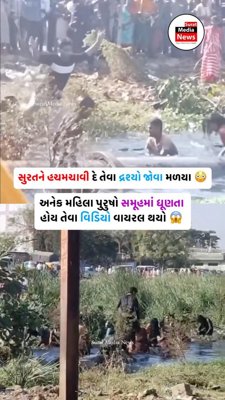 સુરત જિલ્લામાં વિચલિત કરી દેતા દ્રશ્ય સામે આવ્યા

અનેક મહિલા, પુરુષો સમૂહમાં ધૂંણતા હોય તેવો વીડિયો થયો વાયરલ

ગટરના દુષિત પાણીમાં તેઓ ધૂણી રહ્યા હોવાનો વીડિયો

પુરૂષ મહિલાઓ ચીસાચીસ કરી ધૂણતા હોય તેવા વિચલિત કરી દેતા દ્રશ્ય

આ વીડિયો કીમ નજીક આવેલા કોઠવા ગામનો હોવાની અનુમાન

ત્રણ દિવસ પહેલા કોઠવા ગામે શરૂ થયો હતો ઉર્ષ મેળો

આ મેળામાં ગુજરાત સહિત દેશભર માંથી શ્રદ્ધાળુઓ આવે છે

દરગાહ ખાતે ઉર્ષમાં આવતા અમુક લોકોને આ પ્રકારે હાજરી આવતી હોવાની વાત
વીડિયોની પુષ્ટિ અમે નથી કરતા