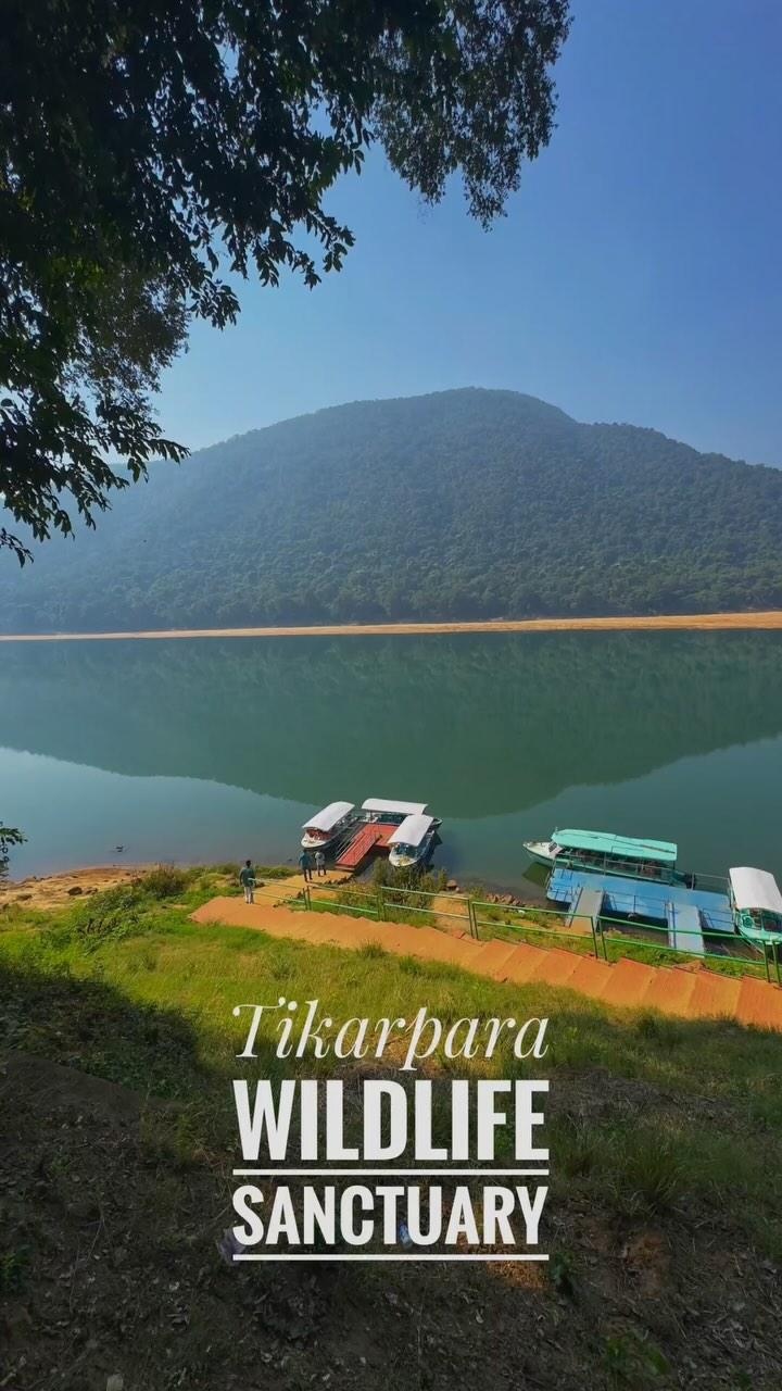 ✅Tikarpada Wildlife Sanctuary 🐊 #anugul #odisha #tikarpada 

Tikarpada Wildlife Sanctuary is one of the most important tourist sites in Odisha and spreads across an area of 795.52 sq km
It is located on the banks of River Mahanadi, about 140 km from Bhubaneswar
The sanctuary is famous for its gharial or crocodile species
wanderlustdeba 

Nearest airport to this sanctuary is the Biju Patnaik Aiport of Bhuwaneshwar and is around 114 km away
You can also travel by roads easily as there is good connectivity from Angul, Dhenkanal, and the other main cities of Orissa
Angul is the nearest station located at a distance of 42 km
Popularly known for breeding gharials in its realm, Tikarpada Wildlife Sanctuary is also famous for its diverse species of flora and fauna
Leopard, spotted deer, tiger, rhesus macaques, Indian Pitta, red jungle fowl and pangolins are some of the fauna species that one can spot in this tourist place of Odisha