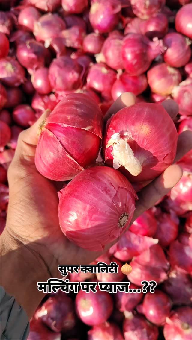 रतलाम मंडी भाव🧑‍🌾🌾🧄

Ratlam #Mandsaur #Reels #agriculture #ujjain #indore #mandi #mp #wheat #soya #garlic princeagro.in